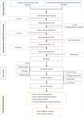 Causal effects of gut microbiota on the prognosis of ischemic stroke: evidence from a bidirectional two-sample Mendelian randomization study